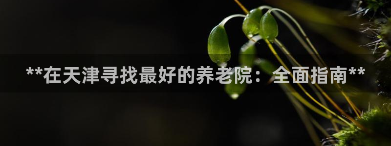 韦德app手机下载