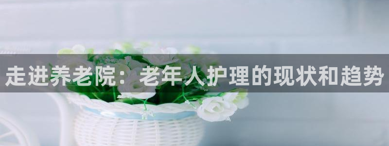 韦德观战总决赛G3