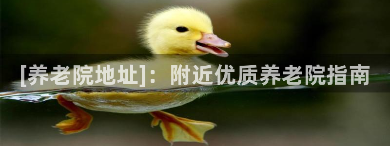 韦德1946中文官网