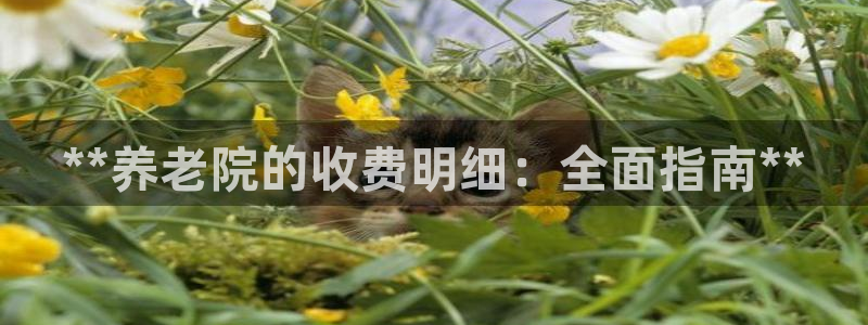 韦德注册手机版下载