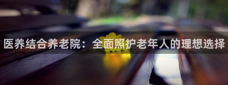 韦德观战总决赛G3