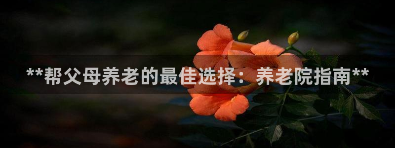 韦德游戏注册需要什么