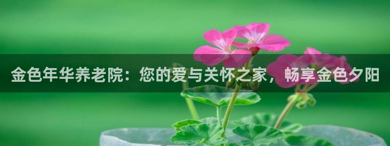 韦德官网注册推荐网站是什么