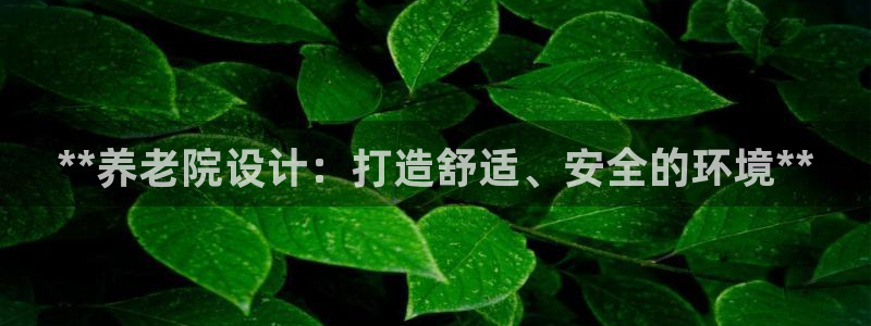 韦德app手机下载