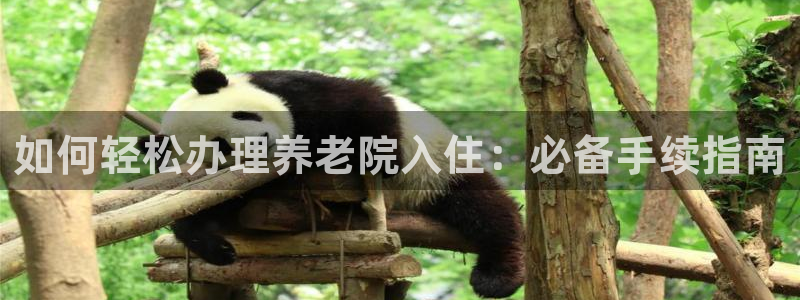 韦德游戏注册有风险吗