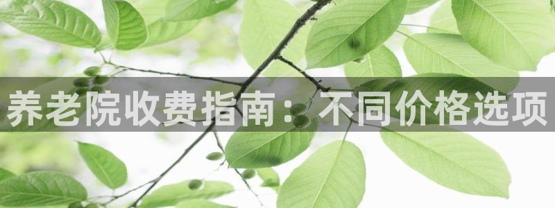 韦德官网注册推荐网站