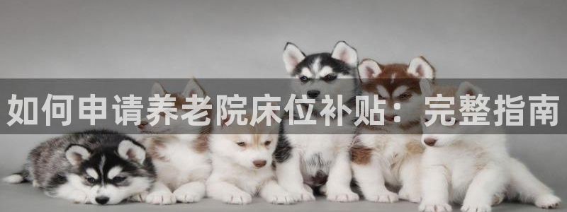 韦德1946备用网站