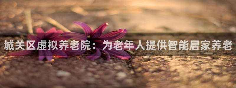 韦德官方网址大全