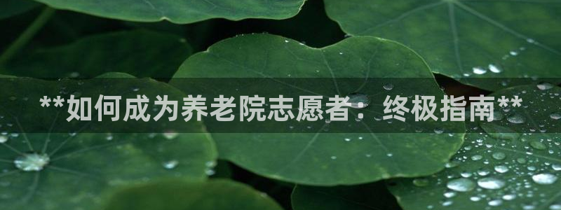 韦德官网注册推荐网站下载