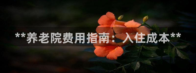 韦德游戏注册有风险吗