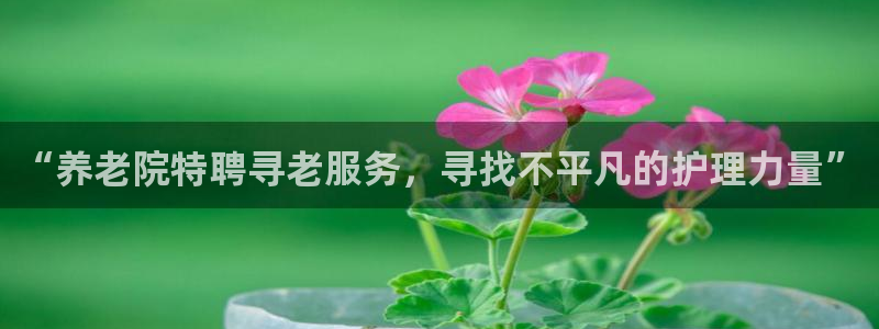 韦德官网注册推荐网站