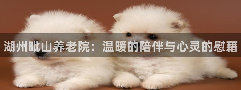 韦德1946国际娱乐