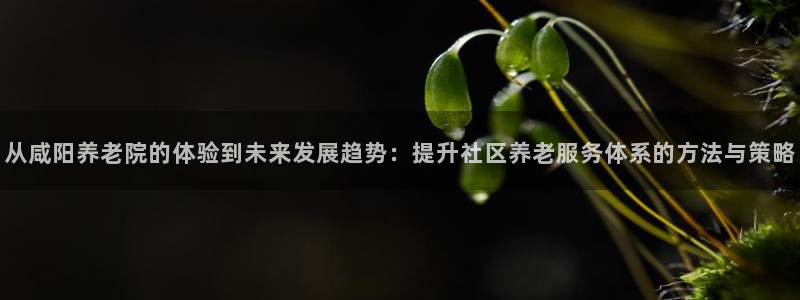 韦德1946备用网站