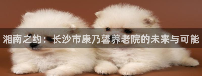 韦德官网注册推荐网站是什么