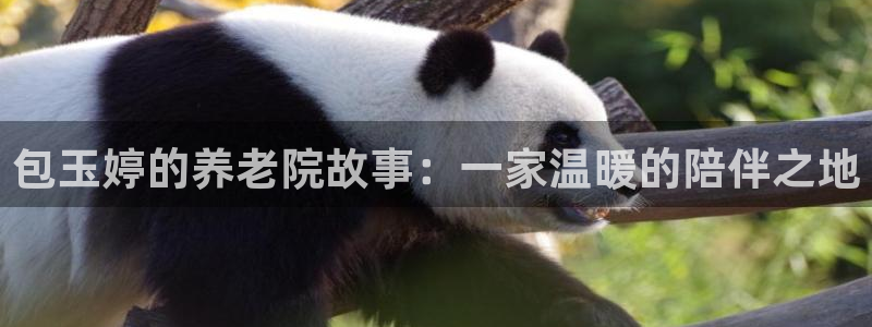 韦德1946官方网站