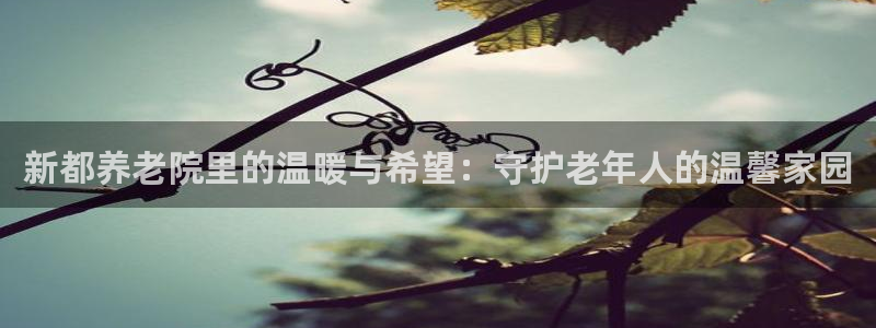 1946韦德网站