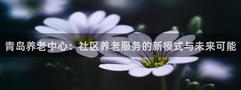 韦德1946博客