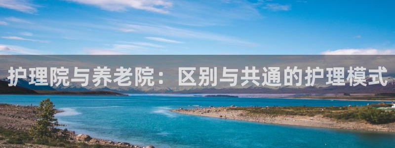 韦德游戏是什么