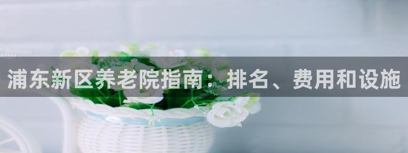 韦德 官网