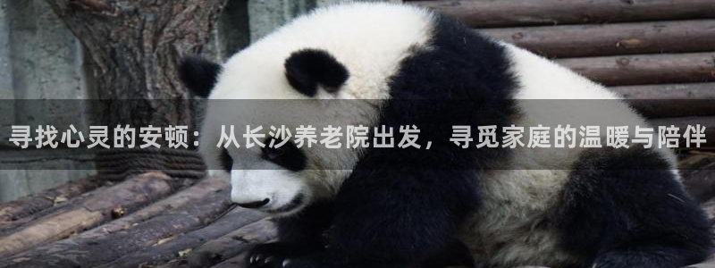 韦德注册手机版下载