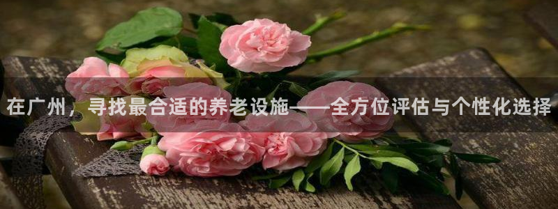 韦德官方网址大全