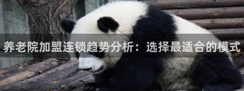 韦德app手机下载