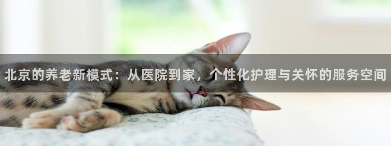 韦德1946手机网址