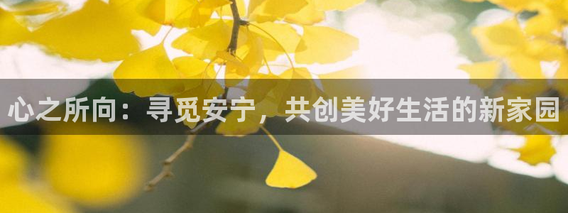 韦德网址是多少