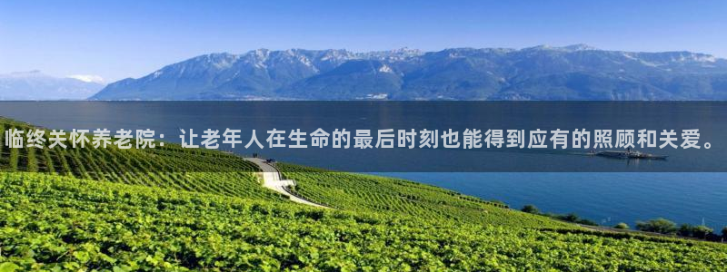 韦德1946体育官方入口