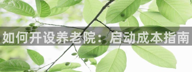 韦德app官方网站