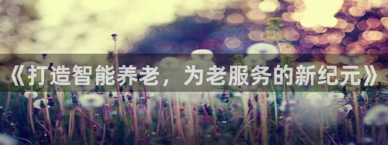 韦德游戏是什么