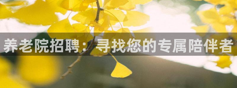 韦德官网注册推荐网站