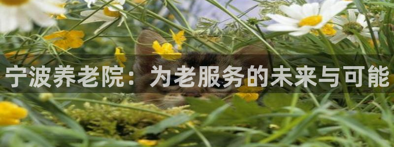 韦德游戏注册要用户口薄