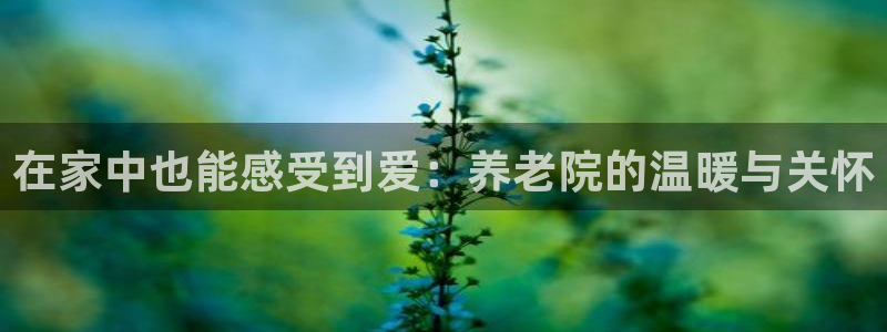 韦德游戏注册需要什么