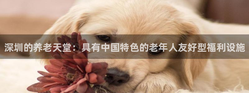 韦德网址是多少