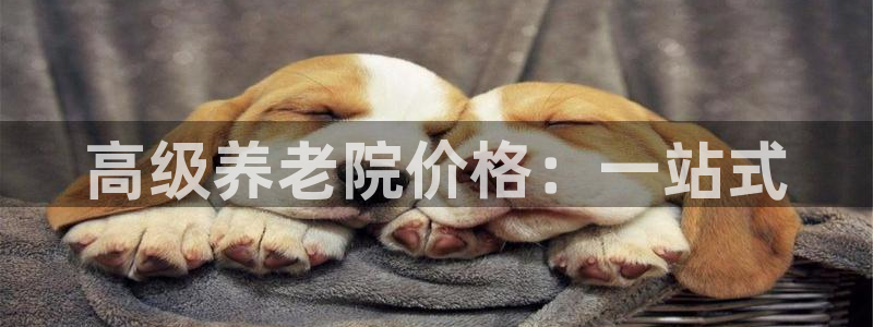 韦德2014