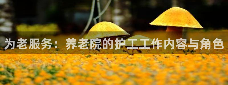 韦德app手机下载