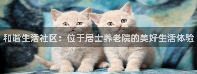 韦德的游戏